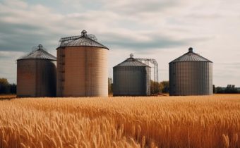Depozitarea cerealelor în condiții optime: ghid practic pentru agricultori
