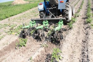 Ce este un cultivator agricol și cum funcționează? 