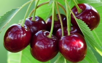 Câte calorii are o porție de cireșe și cum se integrează în dietă