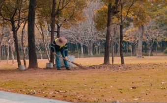 Primul job după liceu: opțiuni reale pentru tineri fără facultate