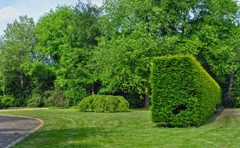 Ce vizitezi în Bacău dacă ajungi pentru prima dată