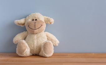 Labubu și alte jucării virale: de ce le caută toată lumea și cum eviți falsurile